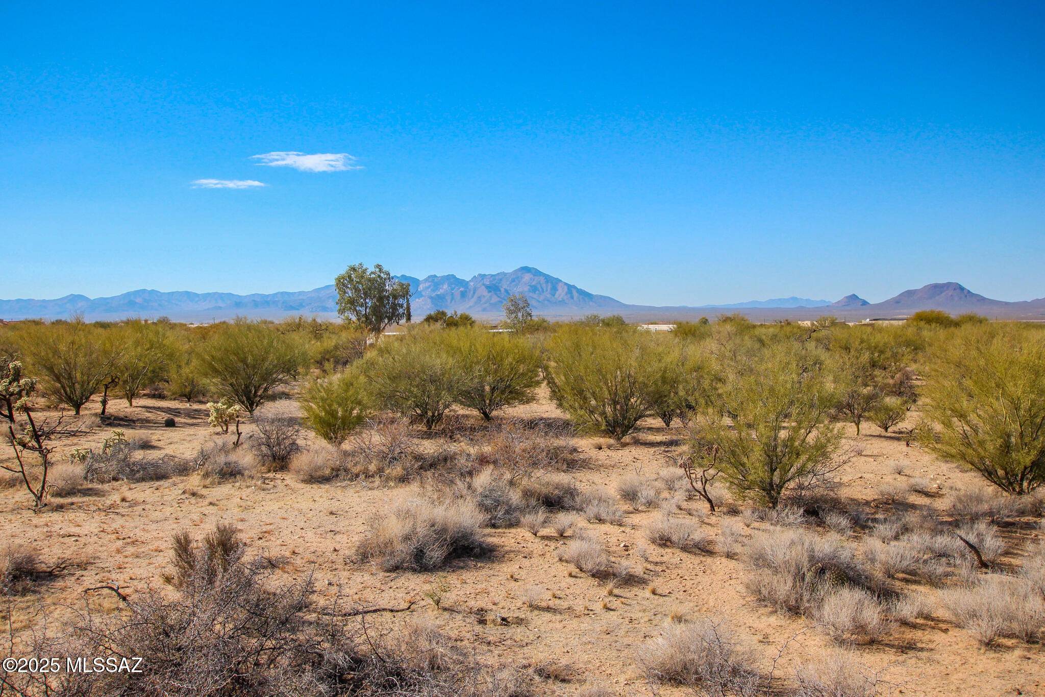 Tucson, AZ 85736,15949 W Diamond Bell Ranch Road #8