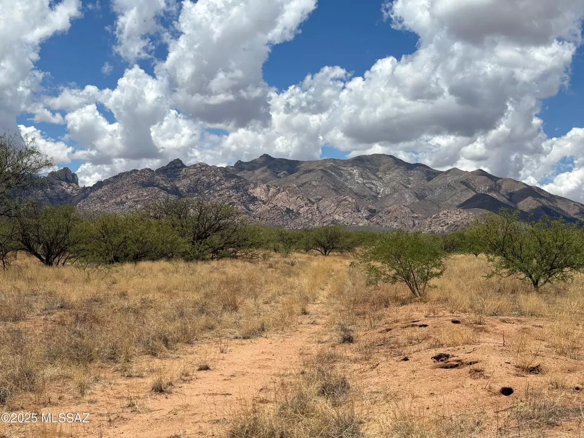 Pearce, AZ 85625,TBD Bentley  #.
