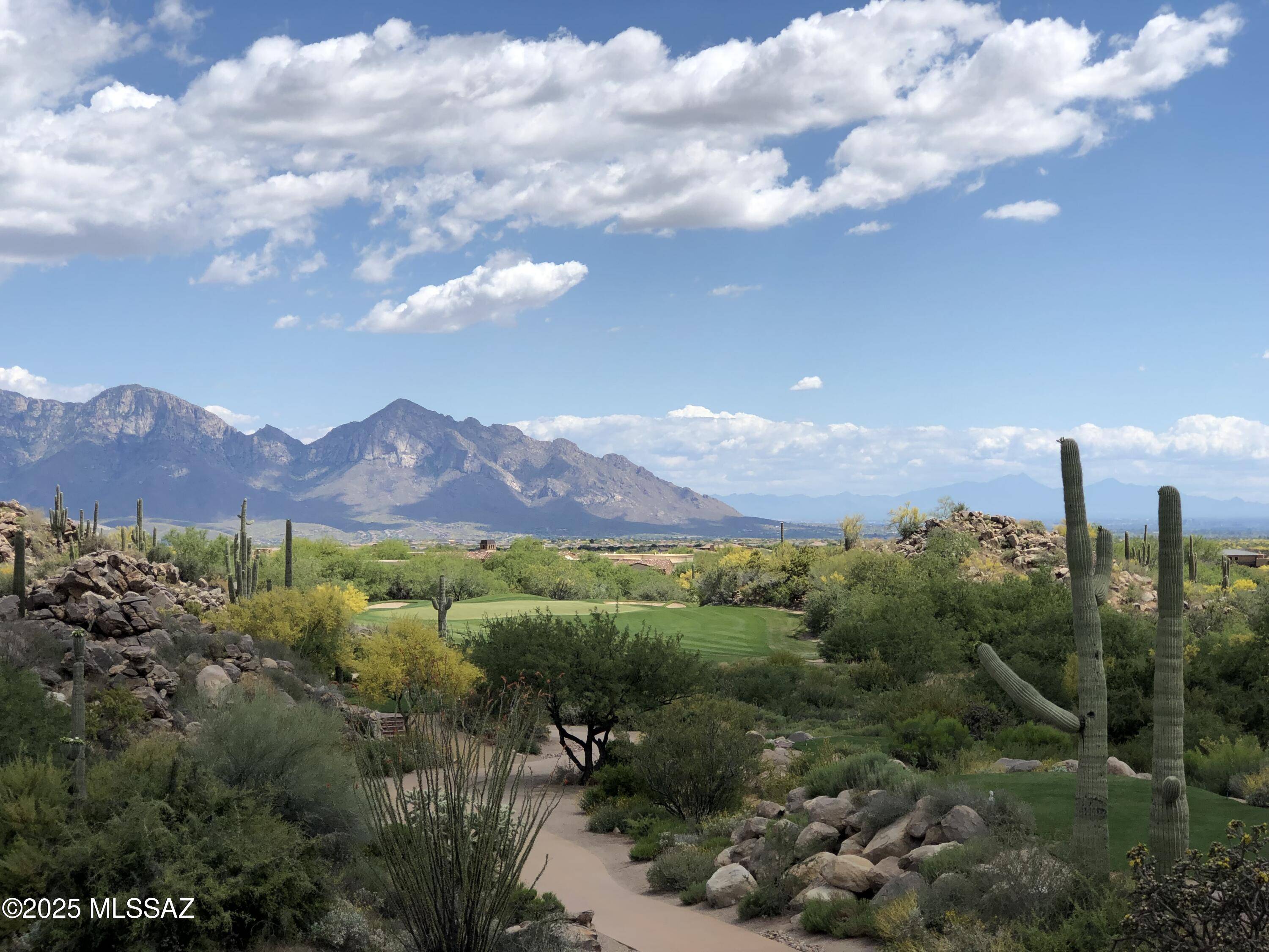 Tucson, AZ 85755,1194 W Tortolita Mountain W Circle #194
