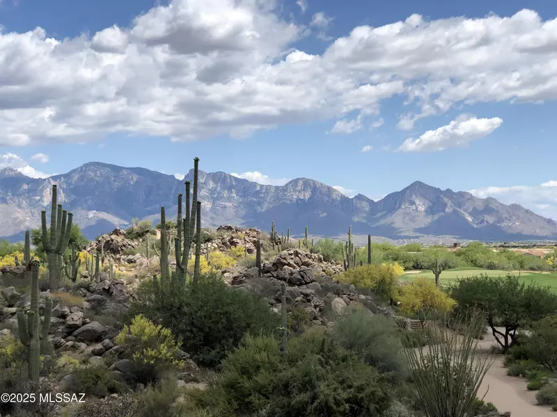1194 W Tortolita Mountain W Circle #194, Tucson, AZ 85755