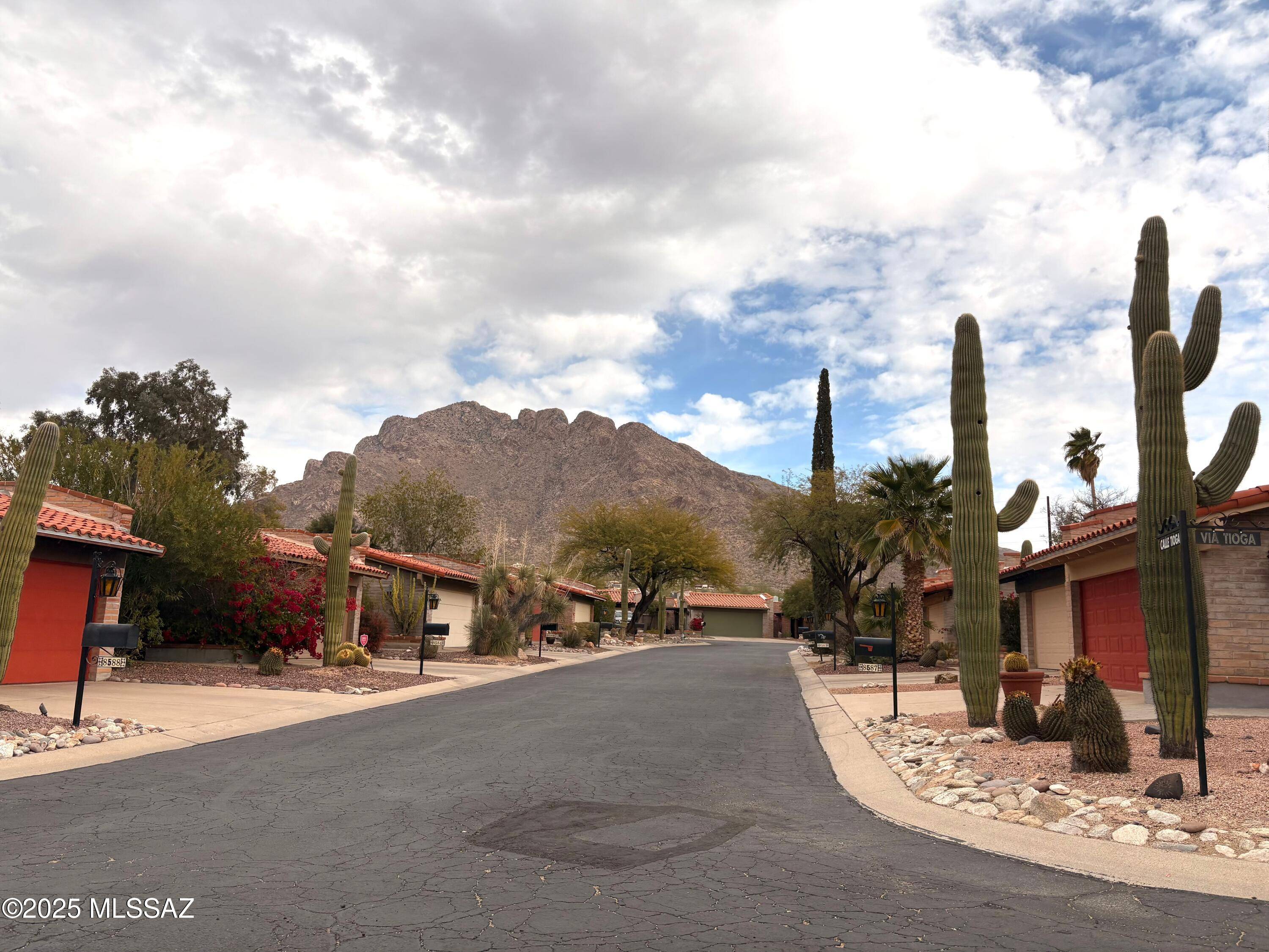 8597 N Via Tioga, Tucson, AZ 85704