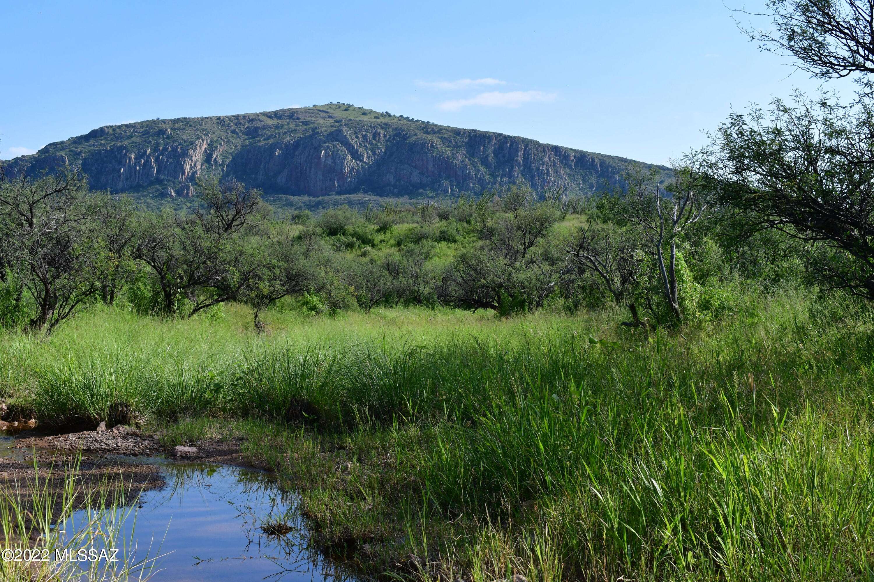 000 Poorwill Canyon Road #31/1, Tubac, AZ 85646