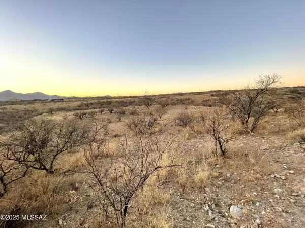 Rio Rico, AZ 85648,1804 Calle Tasa  #40