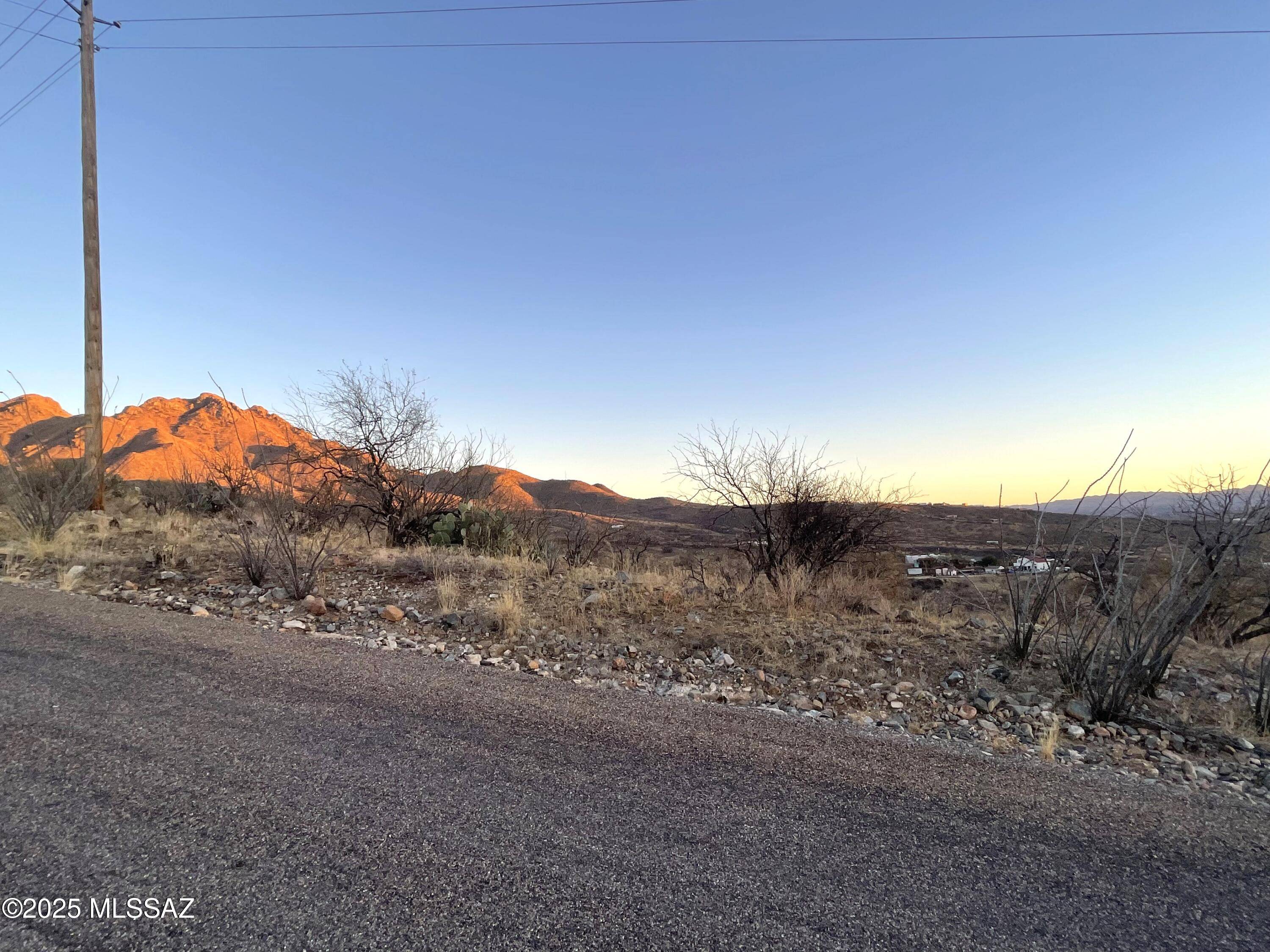 Rio Rico, AZ 85648,1742 Ruta Caravela  #10