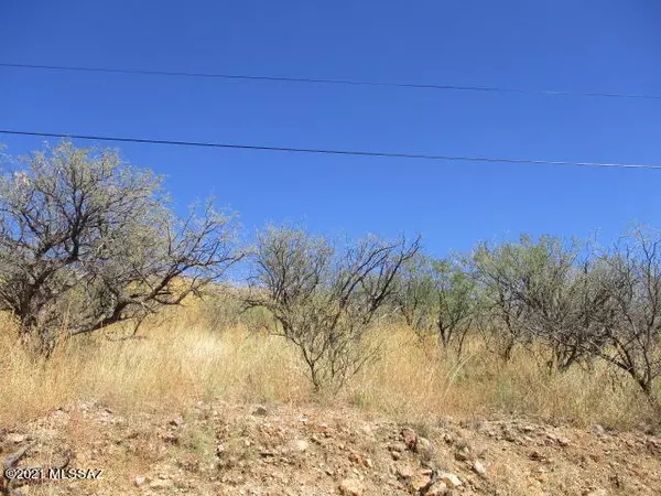 Rio Rico, AZ 85648,967 Corte Arboles  #60