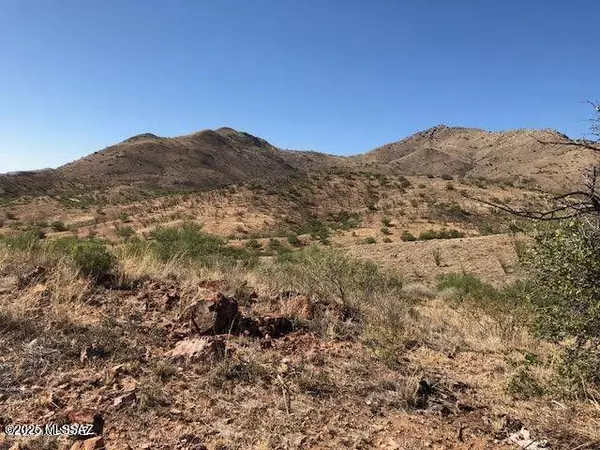 Tubac, AZ 85646,TBD Cougar Pass #116