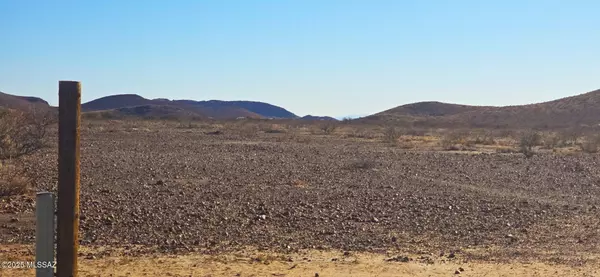 Pearce, AZ 85625,TBD 40 acres Tyree Rd  #118