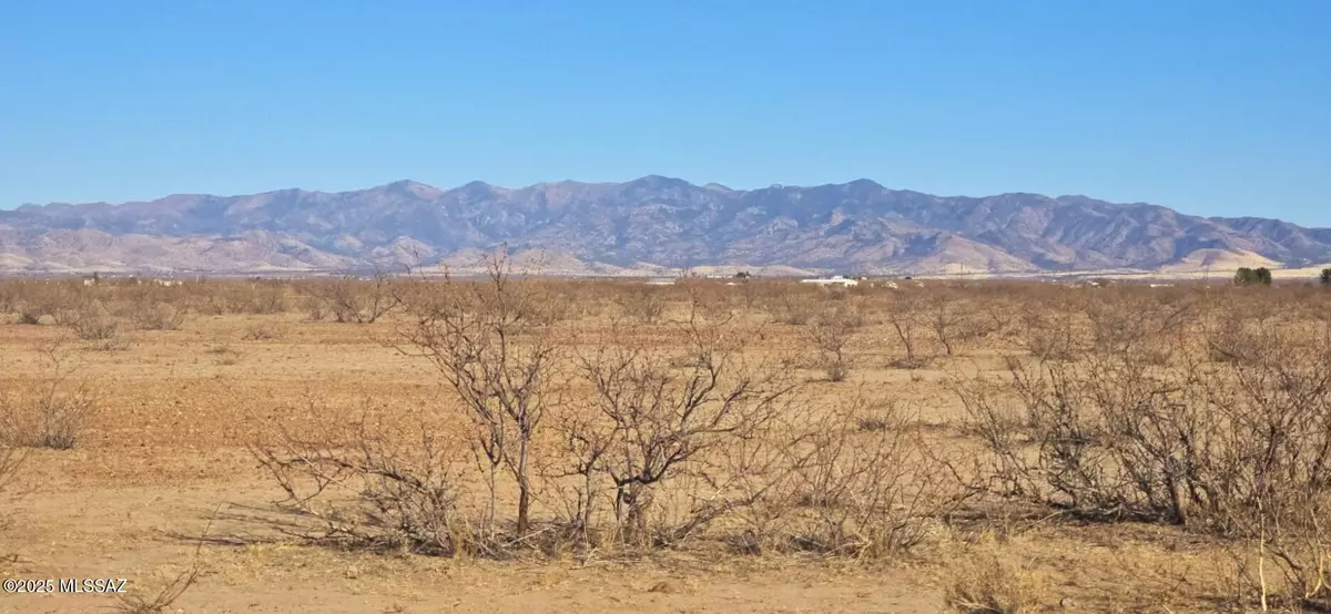 Pearce, AZ 85625,TBD 40 acres Tyree Rd  #118