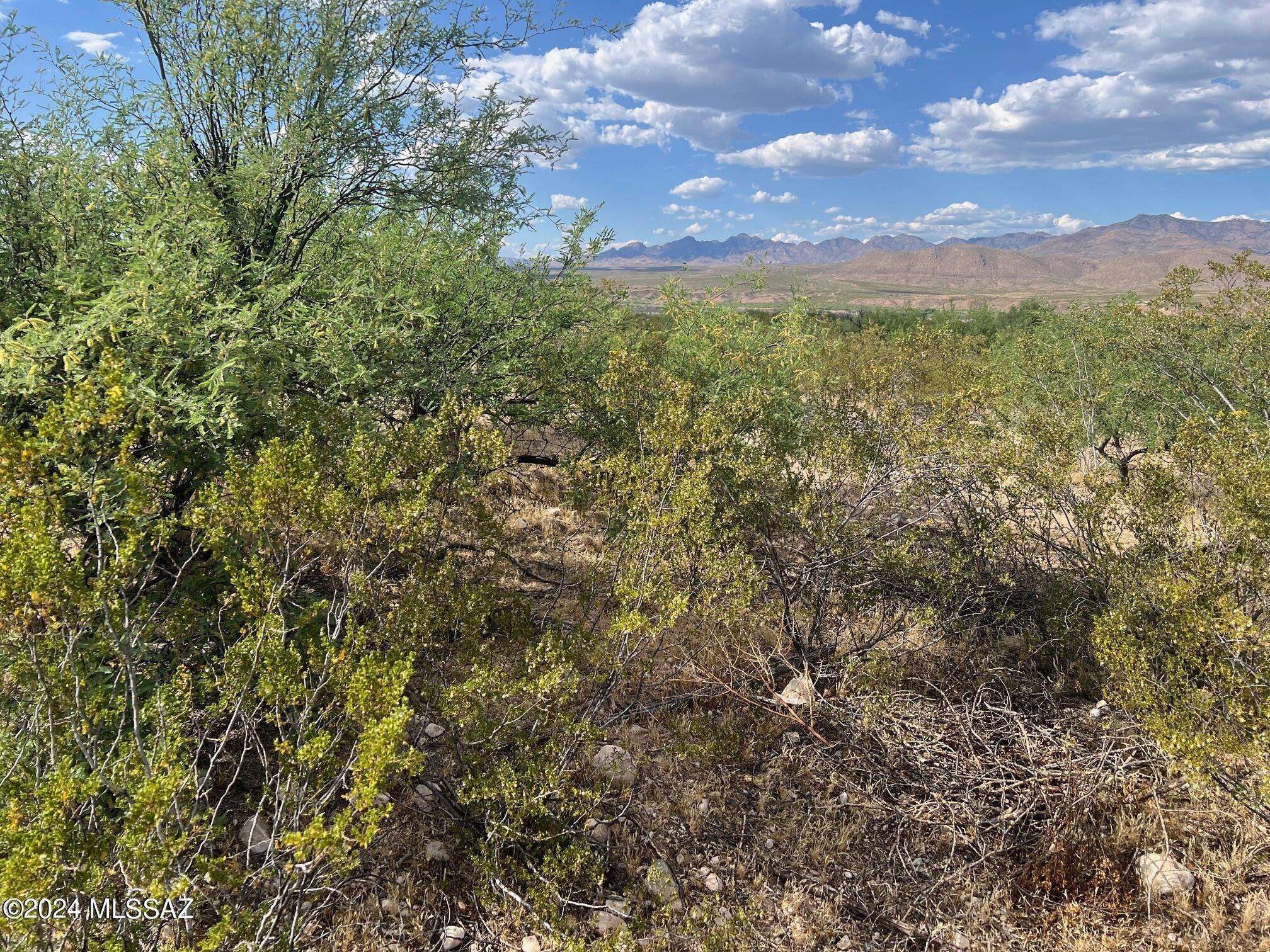 16000 W Hinton Road #0, Fort Thomas, AZ 85536