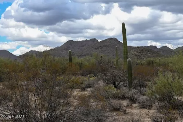 Marana, AZ 85658,3890 W Moore Road