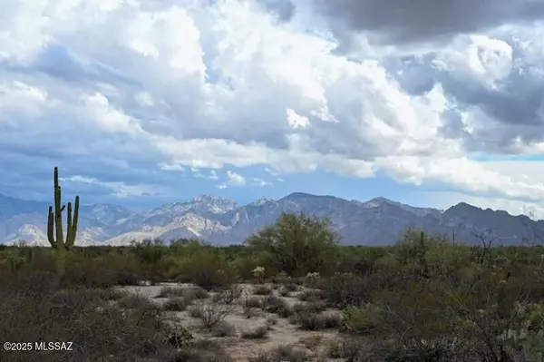 Marana, AZ 85658,3890 W Moore Road
