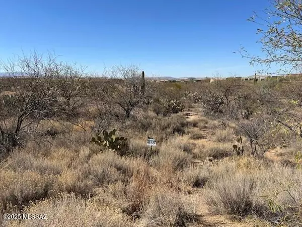Sahuarita, AZ 85629,211 N Scenic Vista Drive #138