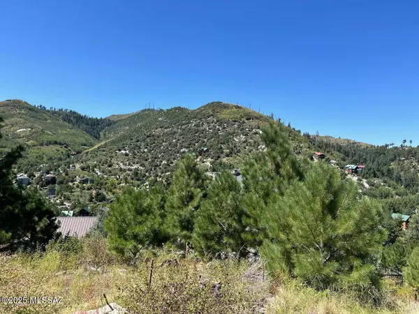Mt. Lemmon, AZ 85619,12802 N Ray Avenue #12/17