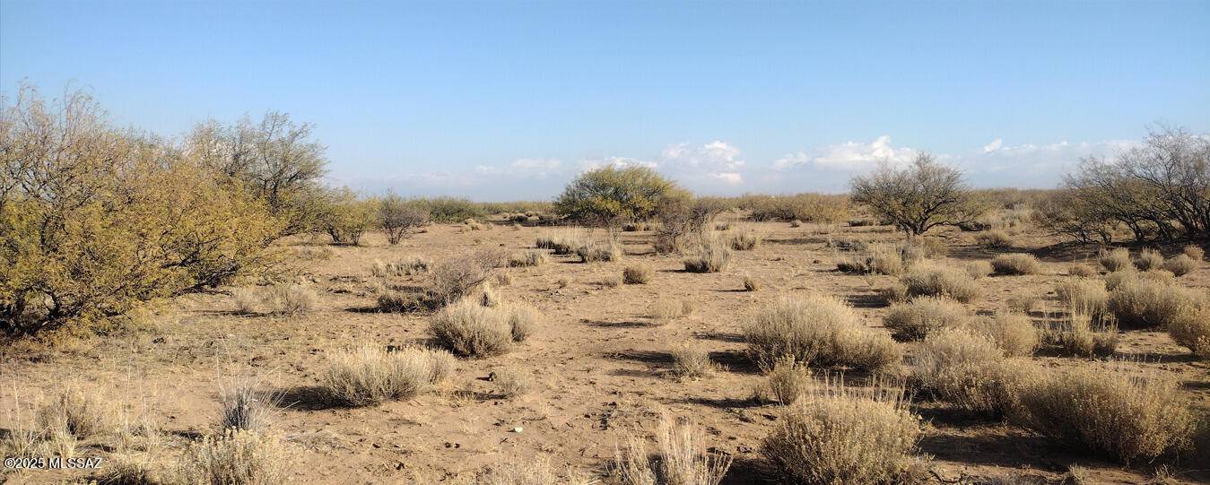 Pearce, AZ 85625,0 Camino Verde  #-