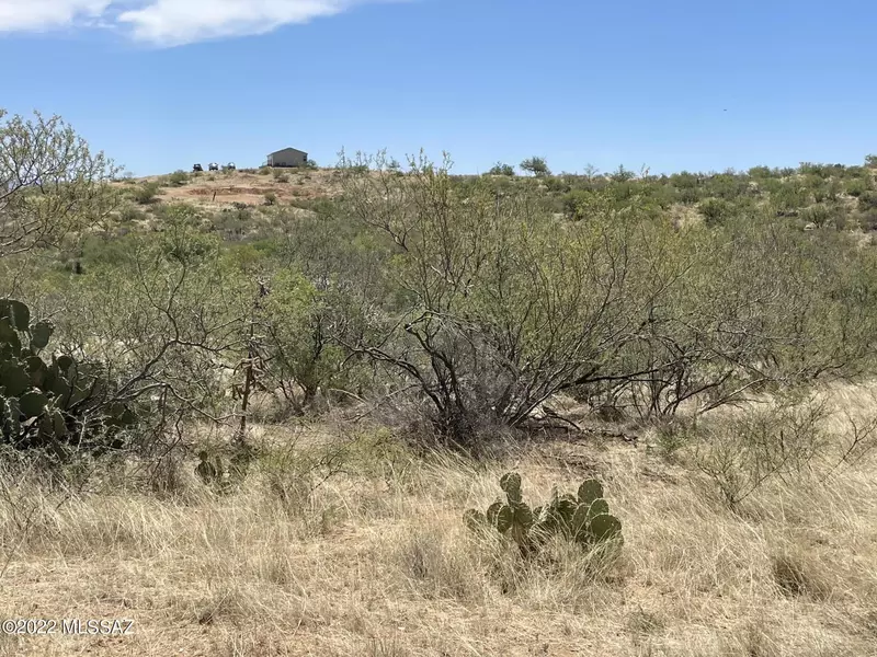 TBD E Goldbug Road, Oracle, AZ 85623