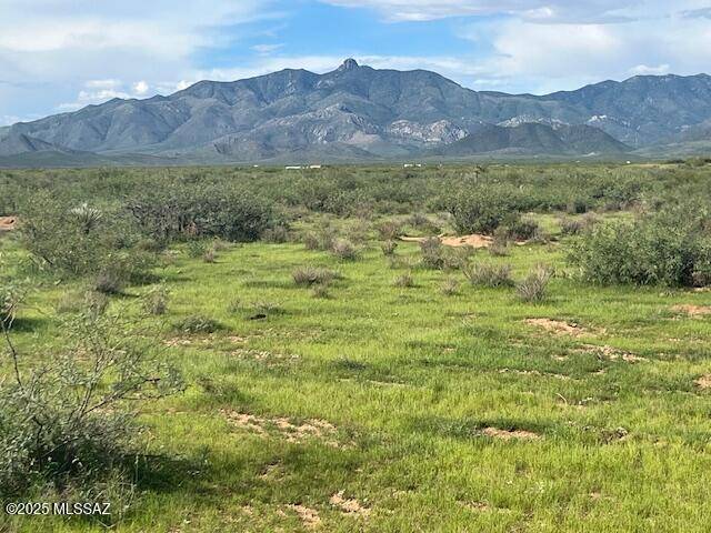 Willcox, AZ 85643,39 acres E Arzberger Road #162