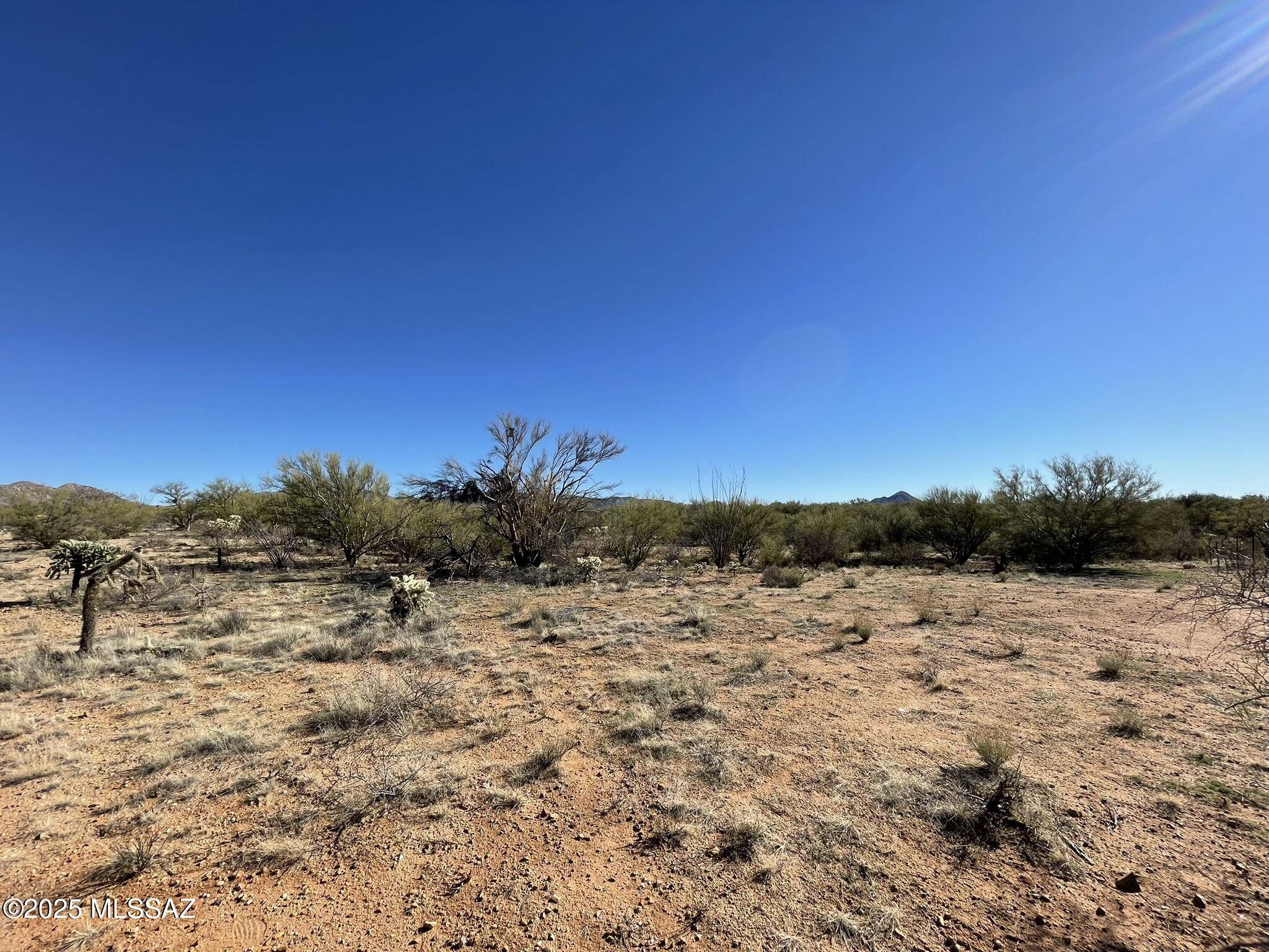 15879 Bolo W Place #247, Tucson, AZ 85736