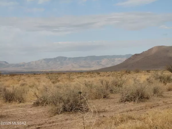 Willcox, AZ 85643,156 Acre E Parker Ranch Road
