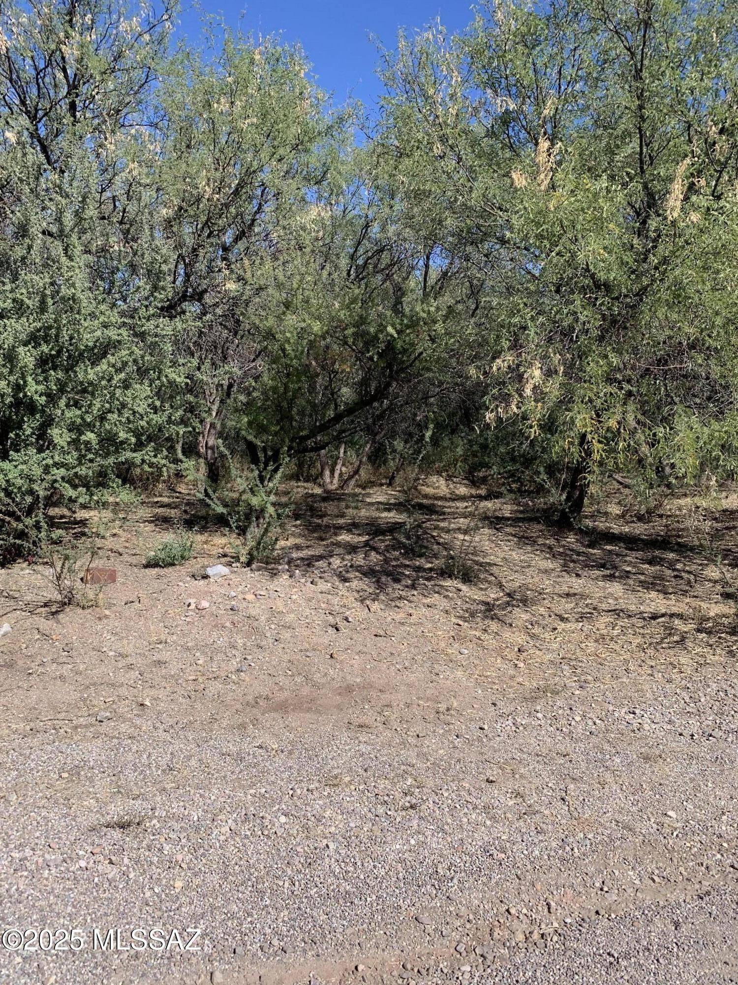 Rio Rico, AZ 85648,286 Poco Court