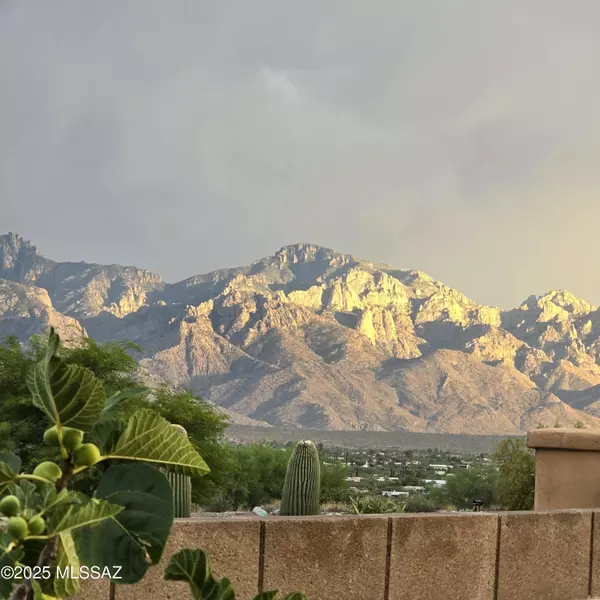 Tucson, AZ 85739,60549 E Twisted Snaffle Place