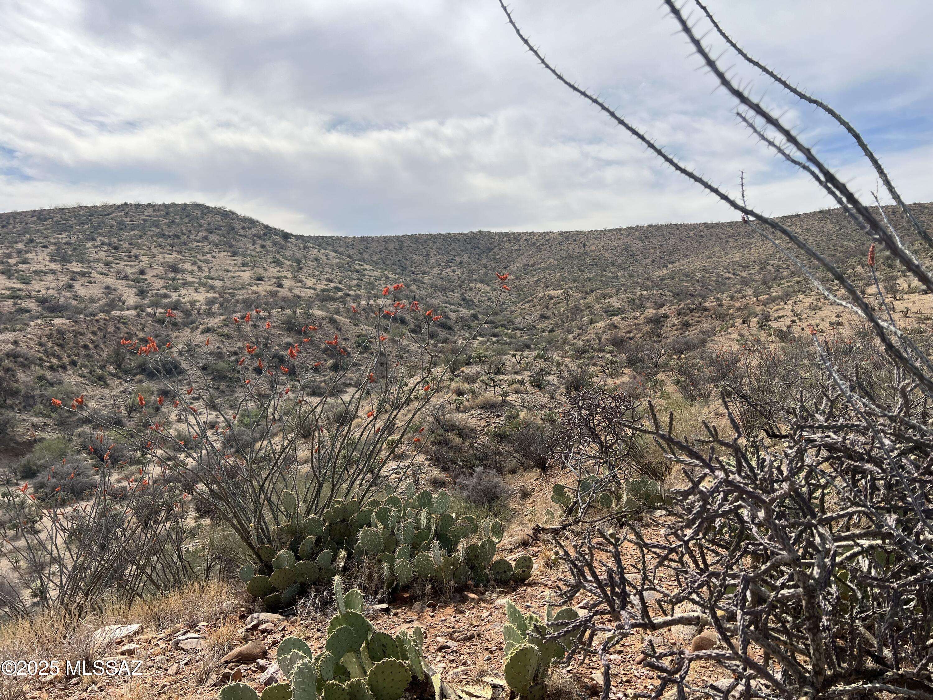 Saddlebrooke, AZ 85739,12 acres S Golder Dam Road