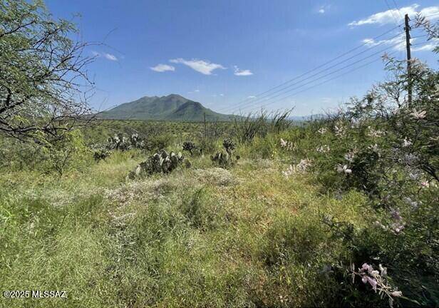 824 Morning Star Dr.  #88, Rio Rico, AZ 85648