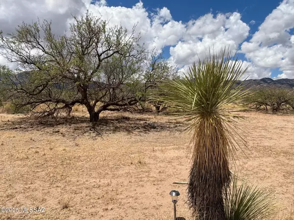 Pearce, AZ 85625,TBD Bryant Street #181