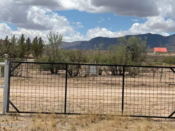Pearce, AZ 85625,TBD Bryant Street #181