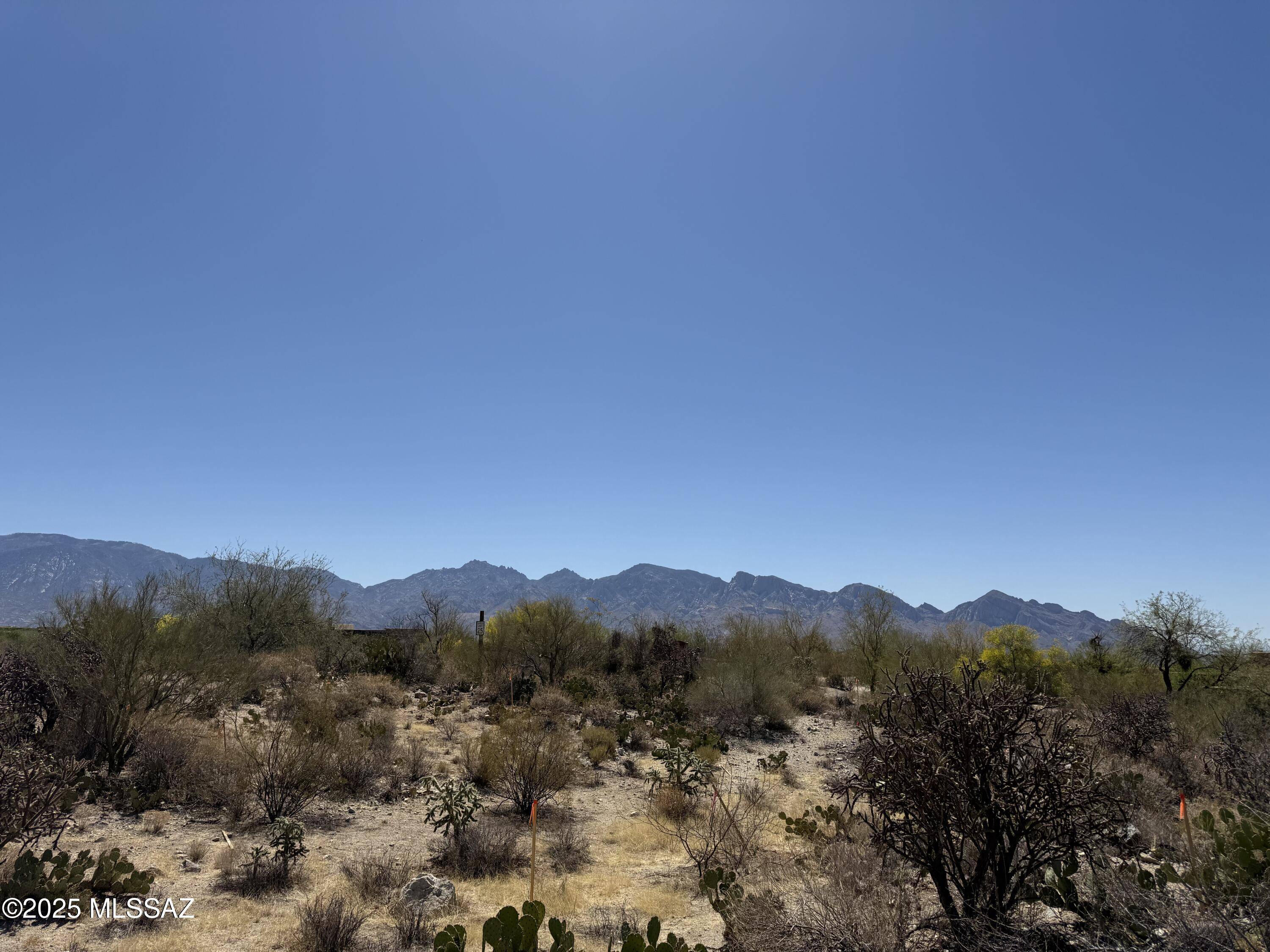 Tucson, AZ 85755,899 W Tortolita Mountain Ci CircleW  #Lot 131