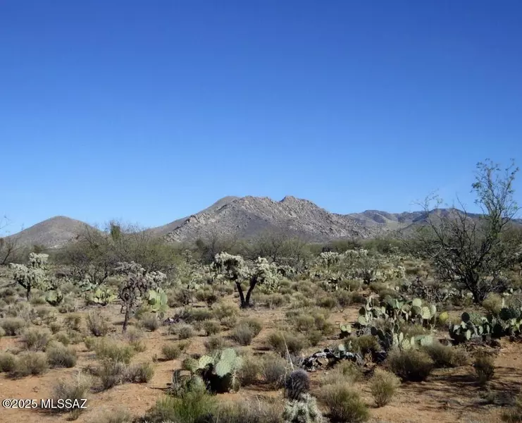 15007 S Carlburg Av Avenue #208, Tucson, AZ 85736