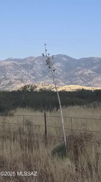 TBD 40 Acr E Sunrise Drive #A, Pearce, AZ 85625