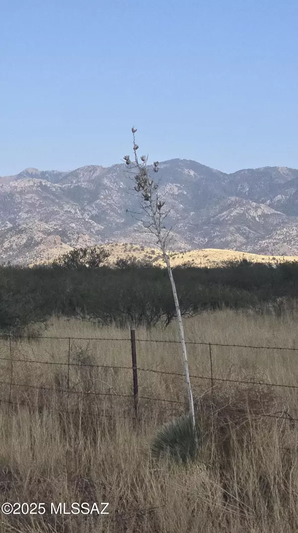 TBD 40 Acr E Sunrise Drive #A, Pearce, AZ 85625