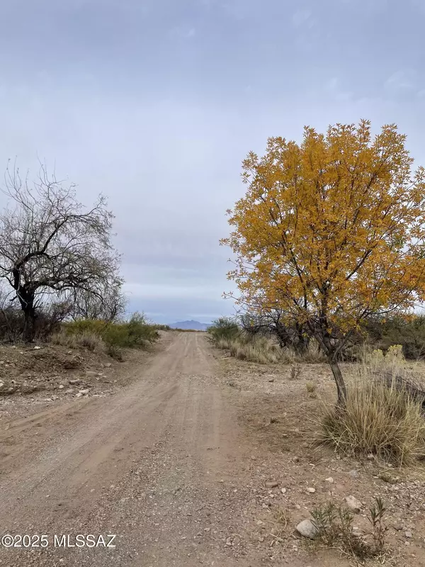 Pearce, AZ 85625,12 Acres E Camino Verde  #-