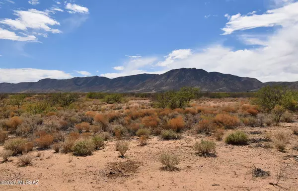 Pearce, AZ 85625,2.16 Acres S Middlemarch Road #8 & 9