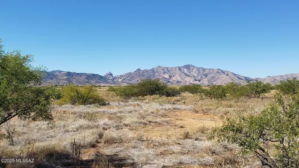 Pearce, AZ 85625,1 Lot E Justin Street #3
