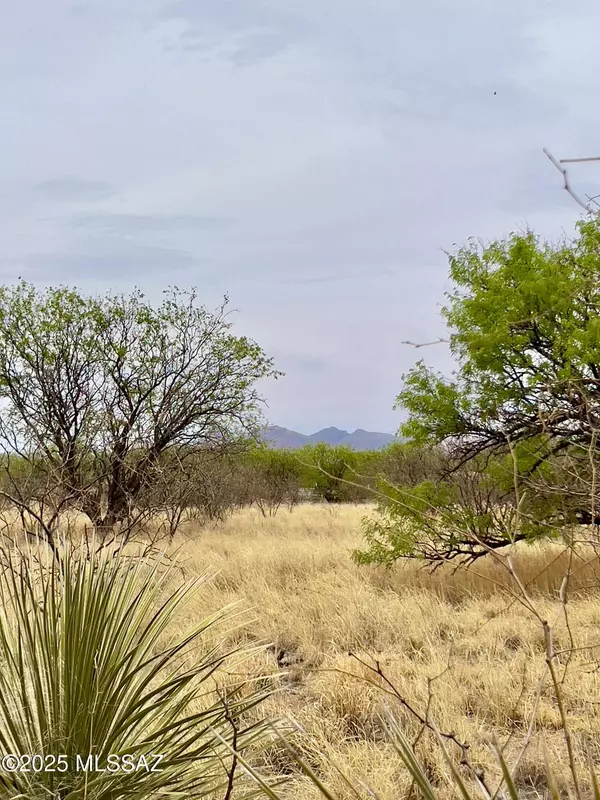 Sonoita, AZ 85637,00 Yucca Ash Farm Road