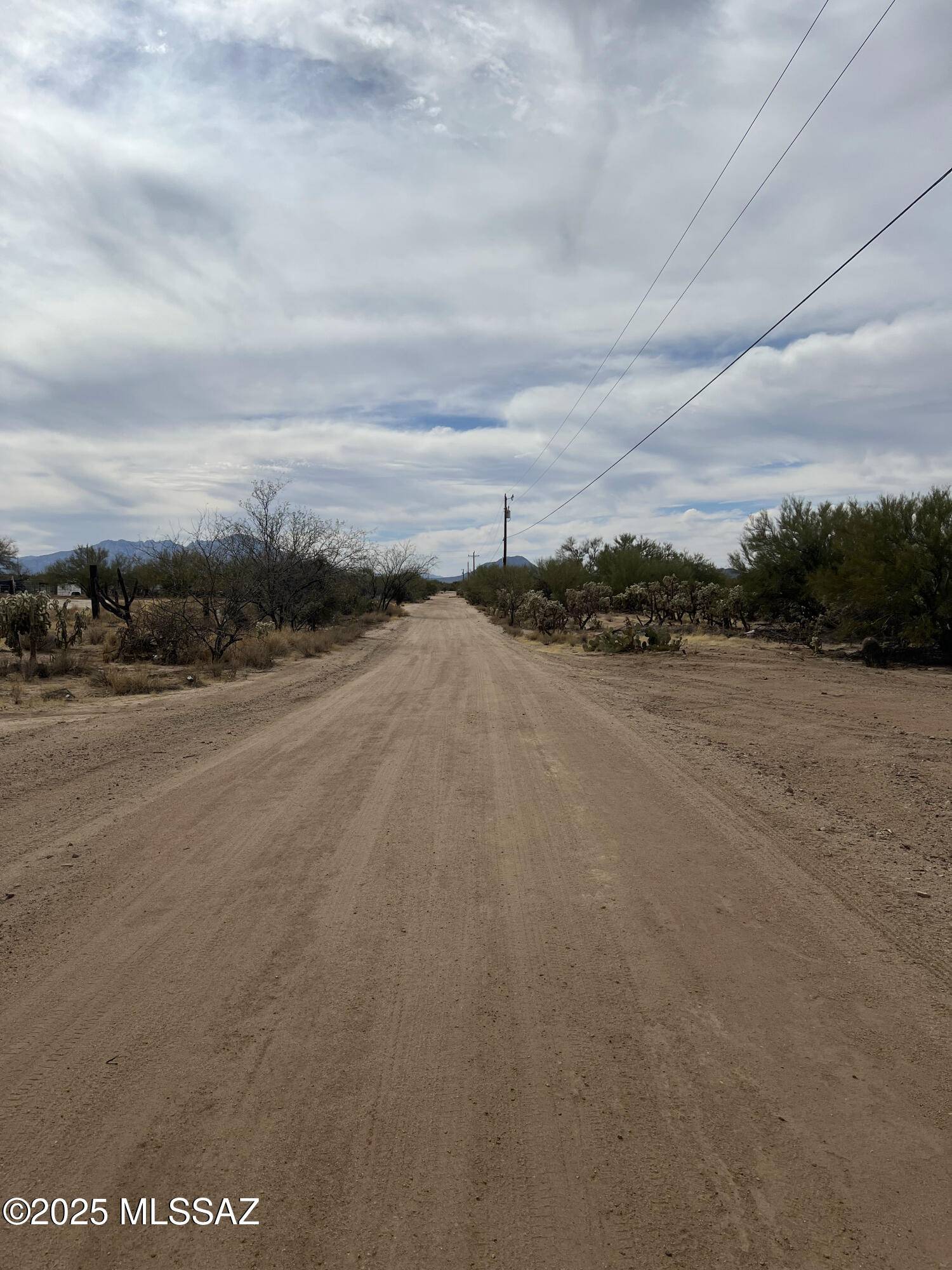 Tucson, AZ 85736,15170 W Cattle Trail #173