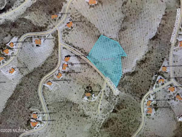 Rio Rico, AZ 85648,430 Tonichi Court