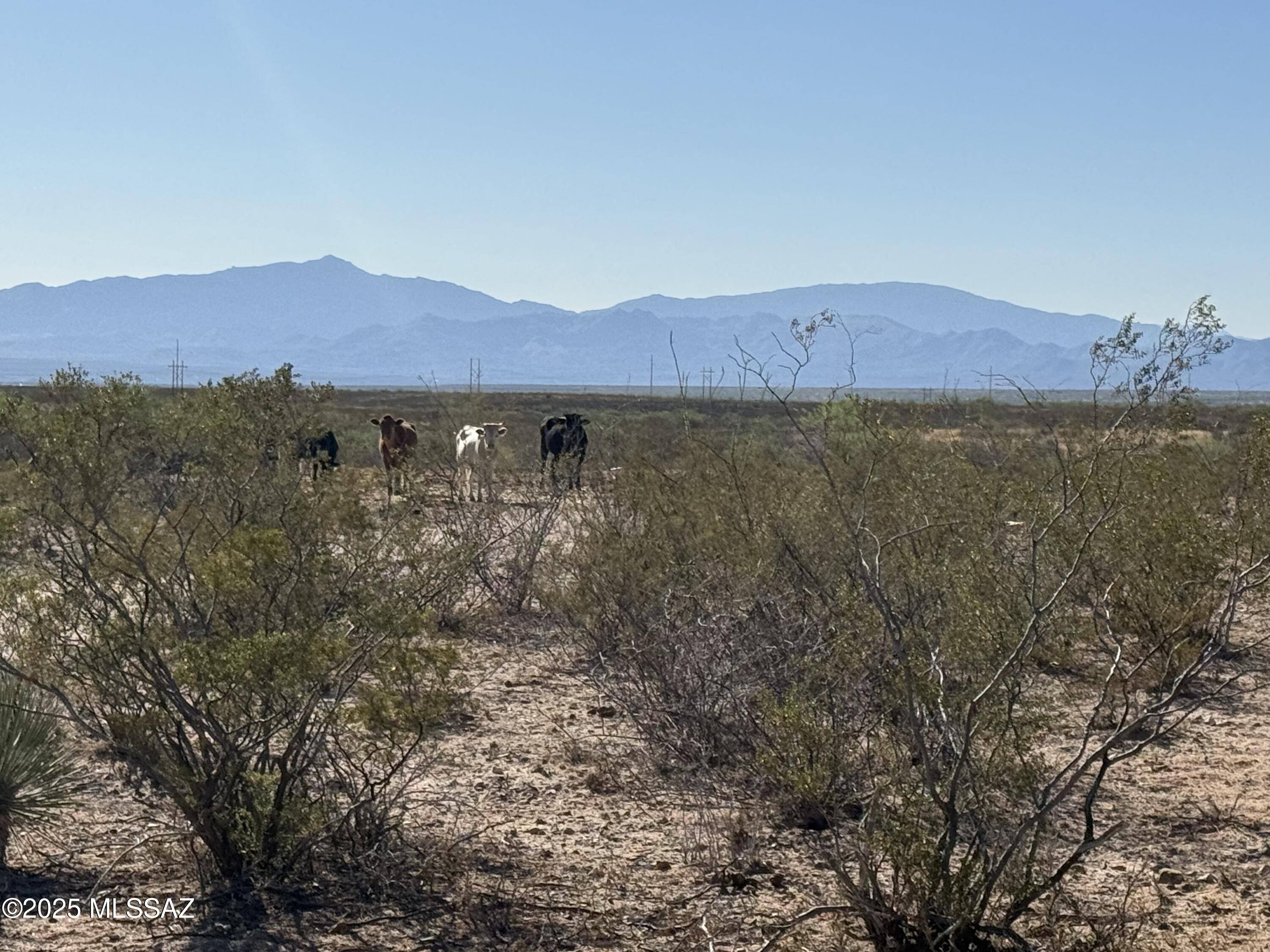St. David, AZ 85630,1268 E Cougar Trail #123