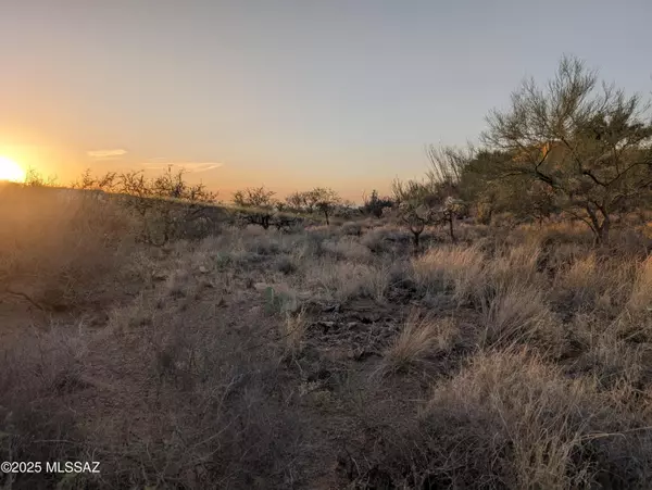 Vail, AZ 85641,1043 S Garfield Place #40