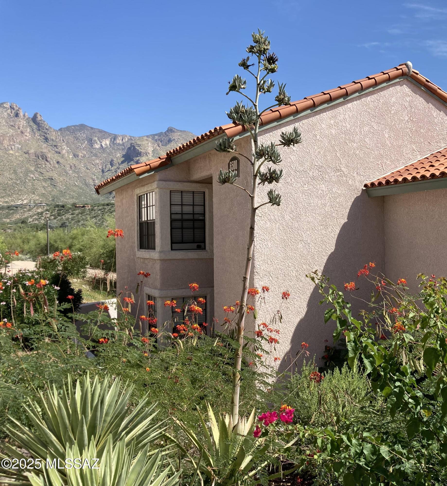 6500 N Tierra de las Catalinas, Tucson, AZ 85718