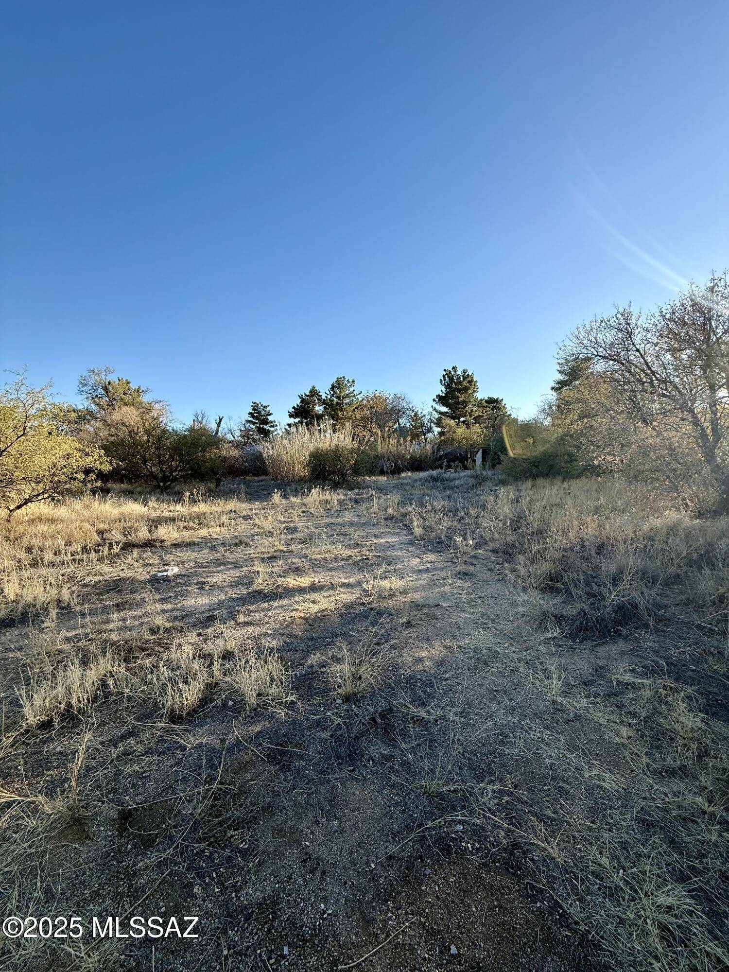 Oracle, AZ 85623,E Mt Lemmon Highway
