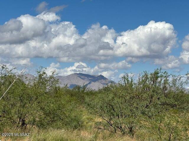 Pearce, AZ 85625,TBD N Central Rd and Zinnia  #9/10