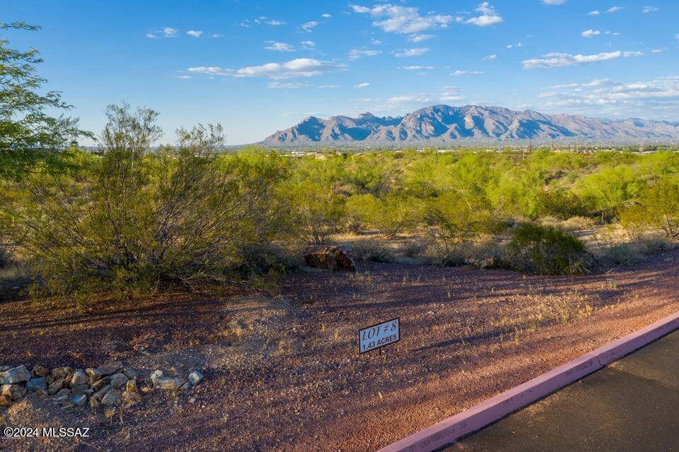 2810 W Black Cloud Court #8, Tucson, AZ 85745