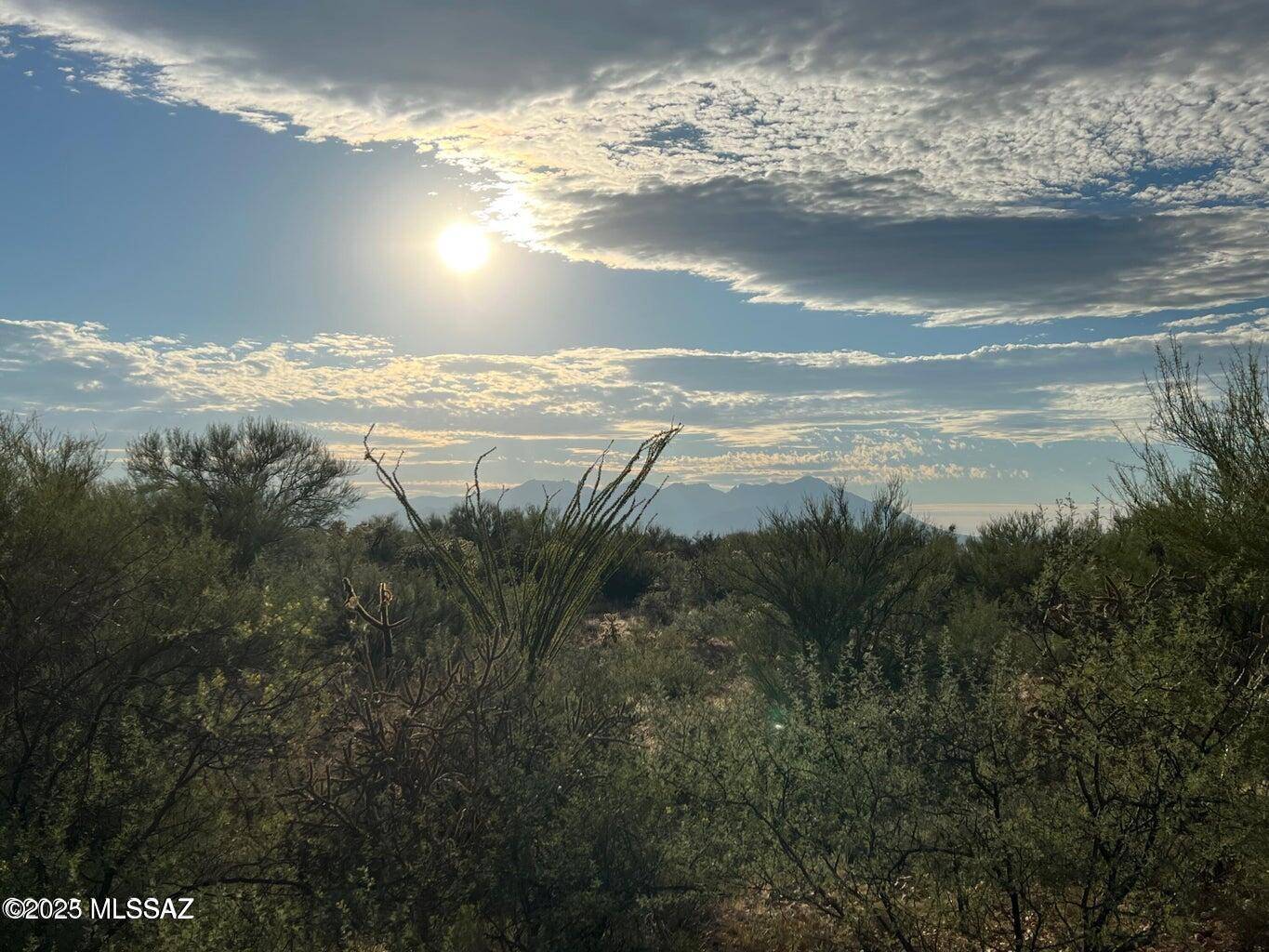 15966 W Phillips Road #270, Tucson, AZ 85736