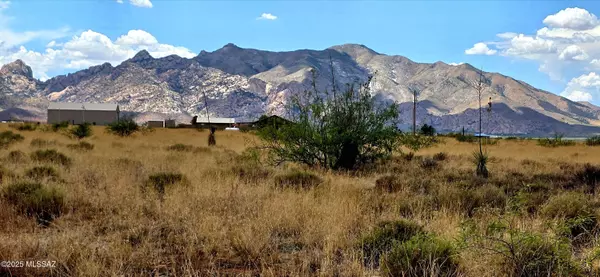 Lot 1 Willcox Road #1, Pearce, AZ 85625