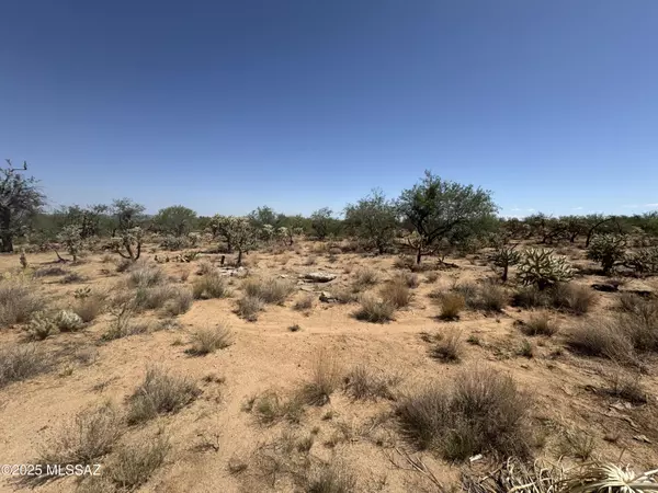 Tucson, AZ 85736,16106 W Prosperi Avenue #92