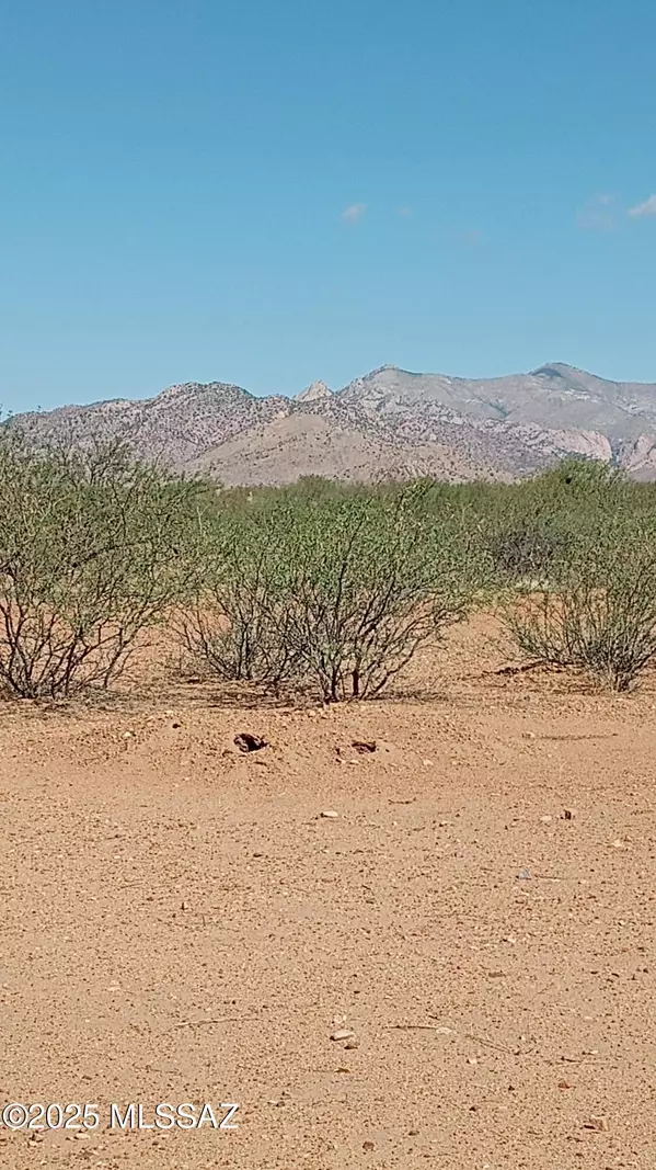 Pearce, AZ 85625,TBD Irwin Street #9&10