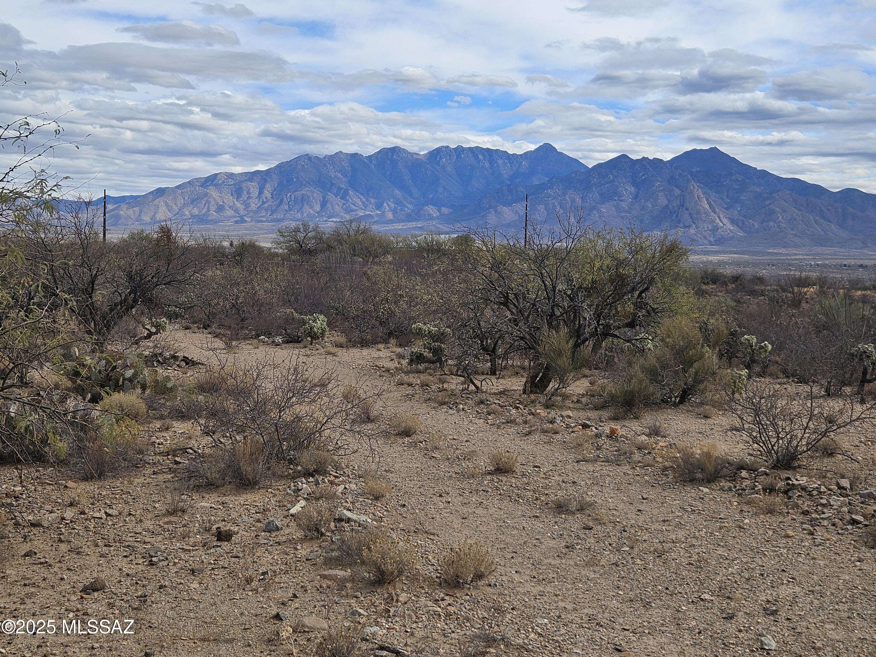 Green Valley, AZ 85622,25555 S Via Montana Vista #60