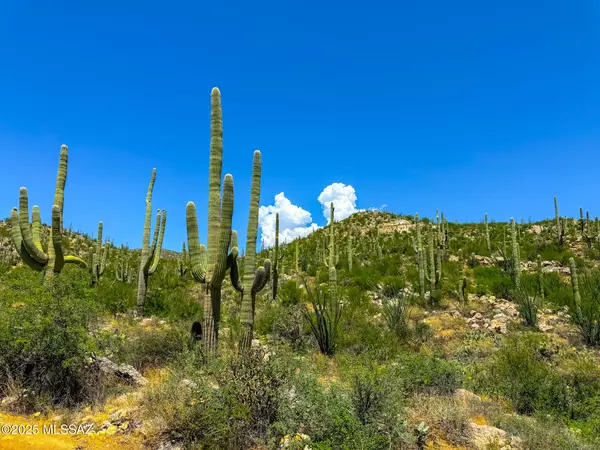 Tucson, AZ 85749,0 E REDINGTON RD  #-